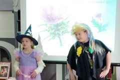 Цветы – вестники весны