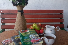 Андржеевская Екатерина. Моё прошлое моё настоящее моё будущее