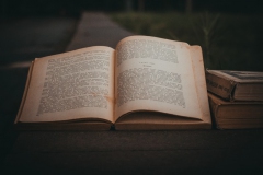 Полиненко Иван. Просветление