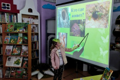 Загадки в лесу на каждом шагу