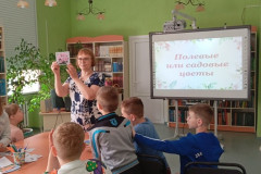 Лето в библиотеке