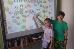 Лето в библиотеке