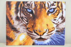 Поощрительный приз