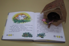 OLYMPUS DIGITAL CAMERA