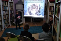 Снежные истории