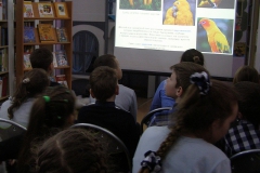 OLYMPUS DIGITAL CAMERA