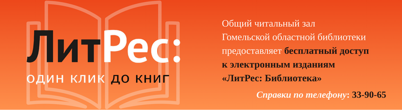 Литрес Баннер 800