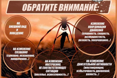 0BB980DA-AD49-4B16-9E60-BD92AD113871
