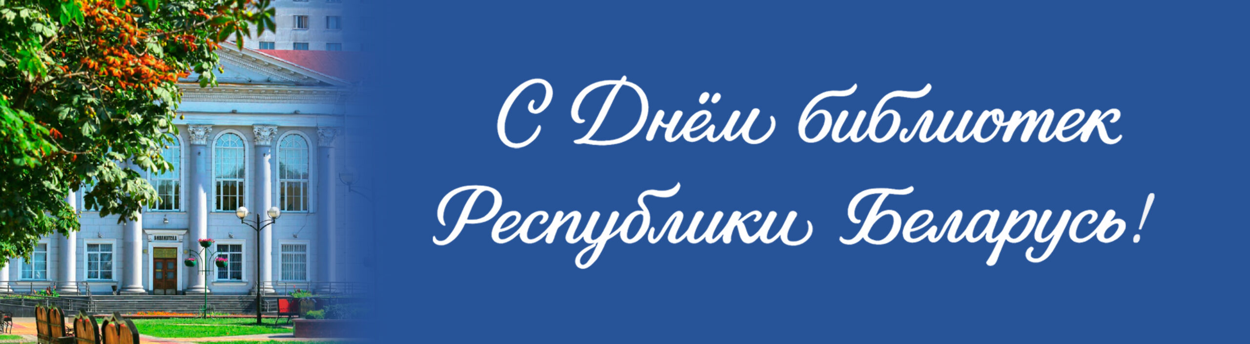 флеш с днем библиотек